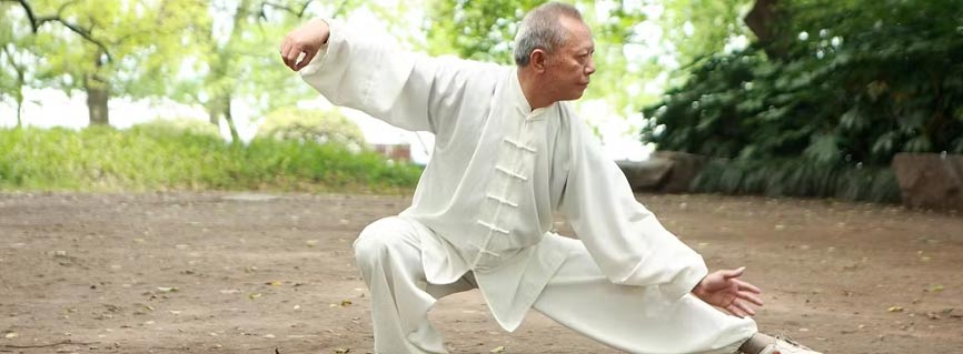 best wellness organization in Greenville, NC