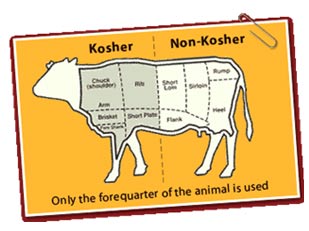 yoga and meditation sessions in Greenville, NC